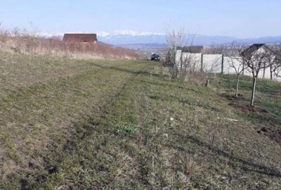 Teren intravila Sura Mare 550mp - 2