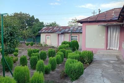 Casă individuală cu 3 camere cu Canalizare în Hârșova - 1