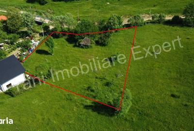 Teren de 2400 mp, în Valea Danului - 4