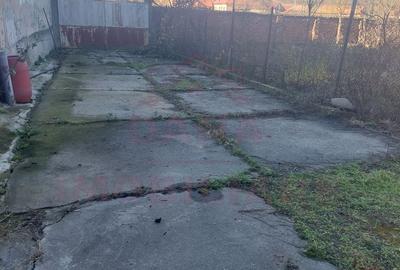 CASĂ PĂLTINIȘ\JUD. CARAȘ-SEVERIN\ COMISION 0% - 21