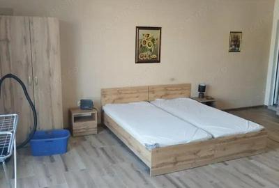 Garsoniera de inchiriat spre iesirea Zizin - 3