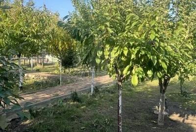 VILA CU 6 CAMERE - 2