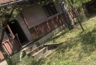 Casă cu 2 camere în Mărtănuș - 8