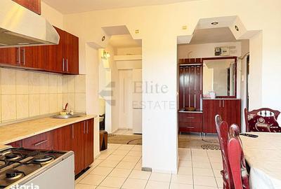 Apartament cu 3 camere decomandat în Nufărul - 10