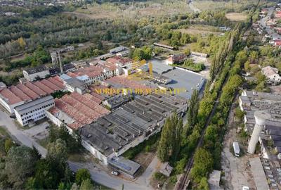 Spațiu industrial, de 21,018 mp, în Exterior Vest - 3