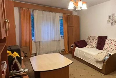 Inchiriez apartament ,parter inalt ,terezian zona str. daliei Inchiriez apartament ,parter inalt ,terezian zona str. daliei - 9