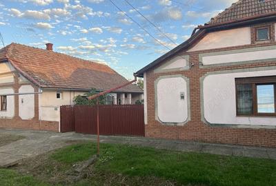 Casa de vanzare Cenad - 8