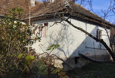 Casa de vacanta de vanzare in Cosdeni - 1