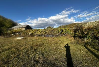 Spațiu comercial, în Doicești - 1