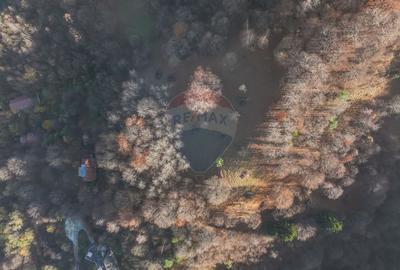 Teren Construcții intravilan de 17684 mp, în Centrul Istoric - 4