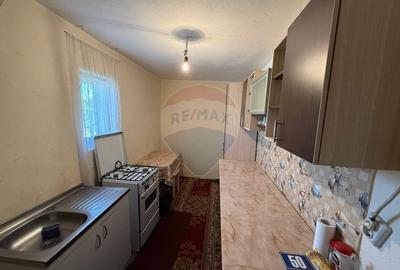 Casa de vanzare Almaj , sat Bogea  4505 mp teren- Negociabil - 9