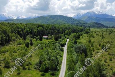 Teren intravilan de vanzare 3000 mp pe Valea Avrigului - 3