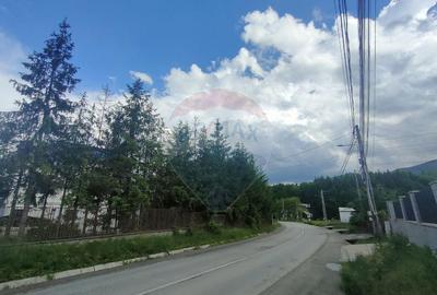 Teren intravilan de vanzare - 11