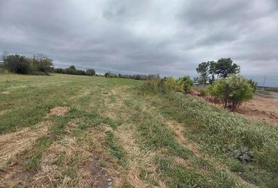 Teren de 4000 mp, în Tudor Vladimirescu - 3