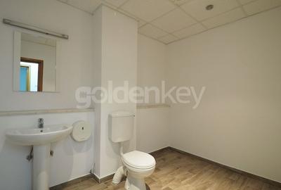 Apartament generos cu 9 camere | langa metrou si parc | rezidenta/birouri - 11