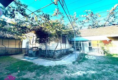 Casă cu 4 camere cu Teren 1712 Mp în Finiș - 3