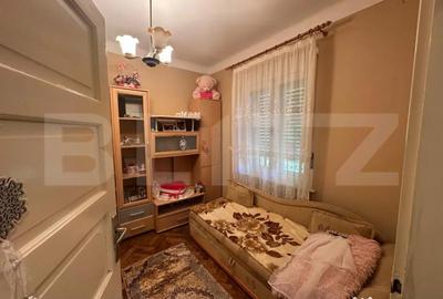 Casă cu 3 camere cu Teren 5700 Mp în Viile Satu Mare - 10