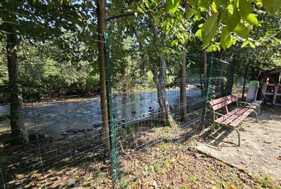 Casă de vacanță de vânzare – Râu Sadului, jud. Sibiu - 19