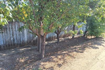 Vând casă + teren agricol Vând casă + teren agricol - 2