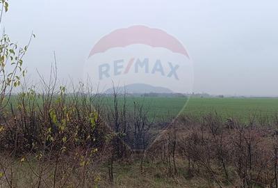 Spațiu comercial, în Dimieni - 2