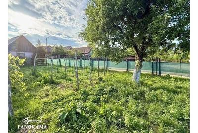 Casă tradițională la țară, în Dârlos - 13