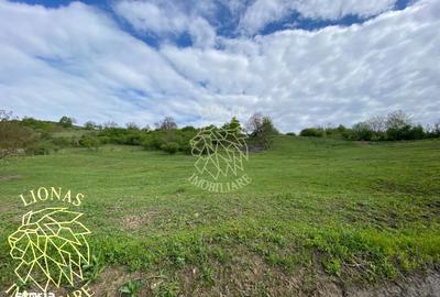 Spațiu comercial, în Nepos - 6