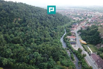 Teren Construcții intravilan de 13861 mp, în Est - 6