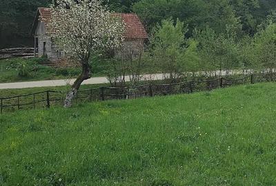 Teren de 1727 mp, în Stănija - 9