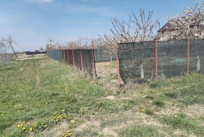 Teren de 5500 mp, în Ruși-Ciutea - 6