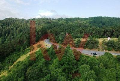 Teren cu priveliste superba si deschidere la drumul de Poiana Brasov - 7