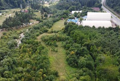 Teren intravilan de 20000 mp, în Central - 3
