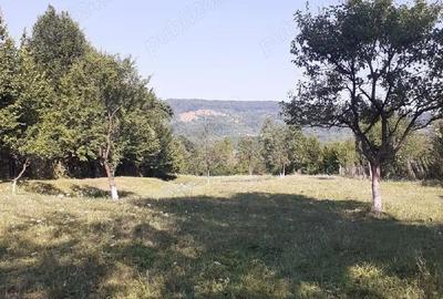 Teren de 3753 mp, în Central - 1