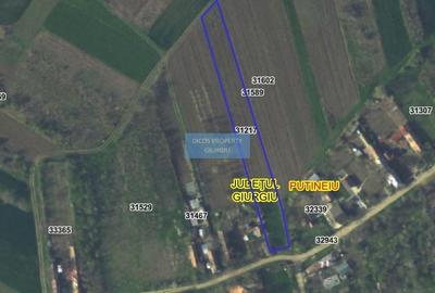 Teren Construcții intravilan de 2500 mp, în Vieru