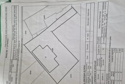 Casa batraneasca nelocuibila de vanzare Casa batraneasca nelocuibila de vanzare - 2