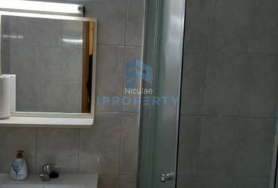 Apartament cu 2 camere, mobilat în Giurgiului - 4