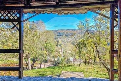 Oaza de Liniste in Valea Doftanei