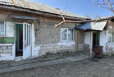 Casă cu Teren 900 Mp în Brătășanca - 1