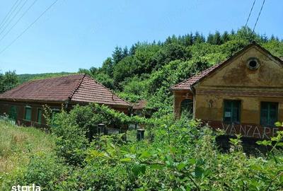 Casă cu 4 camere cu Teren 4860 Mp în Bârzava - 1
