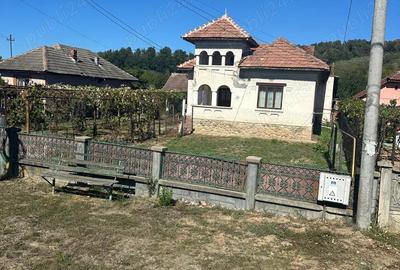 Vand casa in sat Ceauru, comuna Bale?ti, strada principala - 3