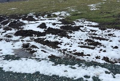 Teren Construcții intravilan de 1244 mp, în Nord - 3