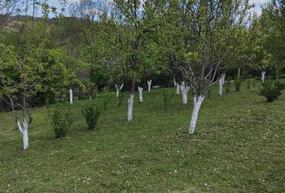 Casă individuală cu 2 camere în Țerova - 4