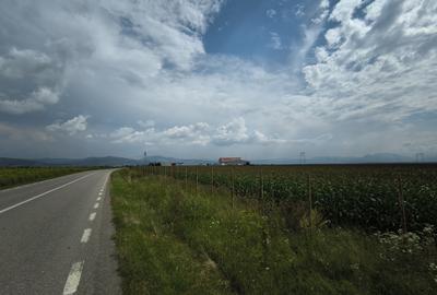 Teren industrial Ozun - Sfântul. Gheorghe 6.300 mp - 4