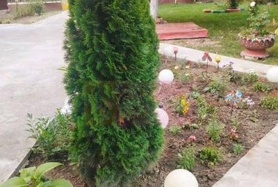 Casa Prahova Comuna Buchilas | 2.800 MP TEREN | Zona Verd... - 5