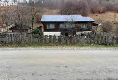 Casă cu 3 camere cu Teren 4900 Mp în Central - 9