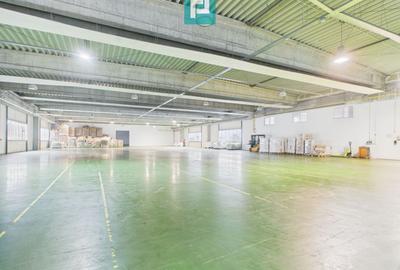 Hală industrială de 4.155 mp Calea Borșului - 3