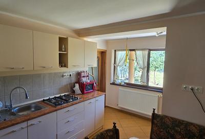 Casa cu etaj si 3552mp teren la Zaicesti - 5
