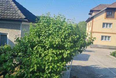 Casă cu 6 camere în Budești - 3