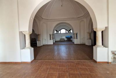 Casă cu 10 camere cu Teren 95000 Mp în Central - 11