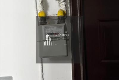 Apartament cu 2 camere semidecomandat în Giurgiului - 10