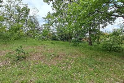 Teren de 2800 mp, în Periferie - 7